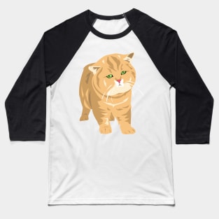 Sleepy Cat Baseball T-Shirt